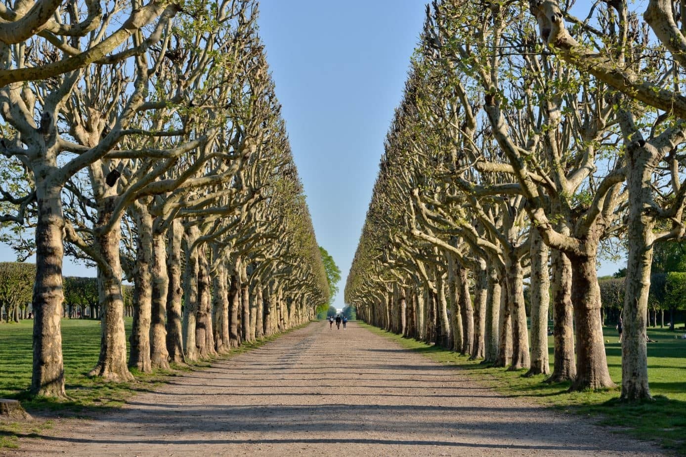 Parc de l'Observatoire
