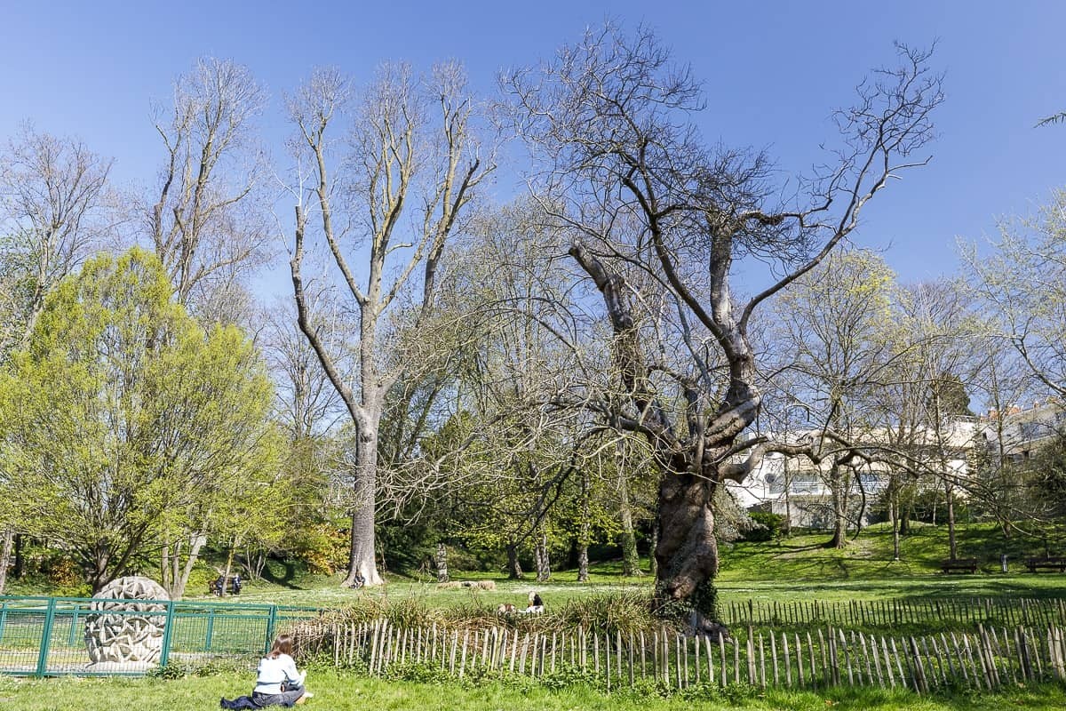 Parc Paumier